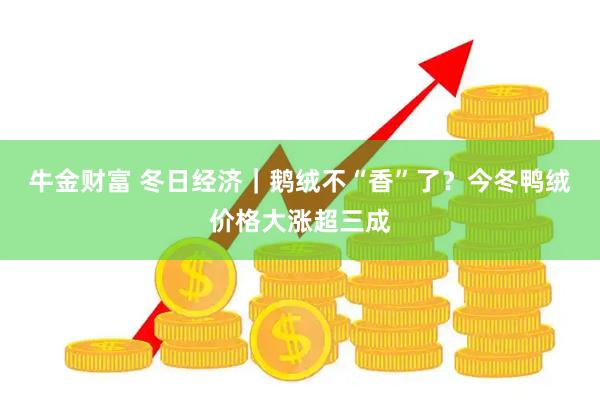 牛金财富 冬日经济|鹅绒不“香”了?今冬鸭绒价格大涨超三成